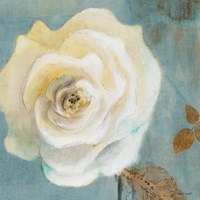 Late Summer Roses Fine Art Print