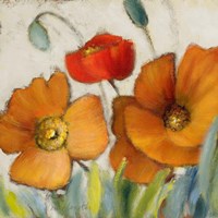 Poppy Splendor Square III Fine Art Print