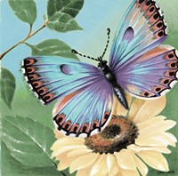 Butterfly Flowers II Framed Print
