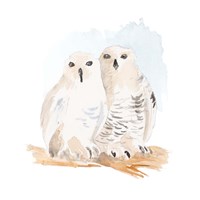 Watercolor Snowy Owls Fine Art Print