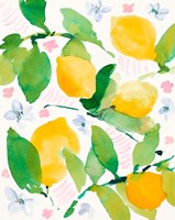 Garden Lemons Fine Art Print