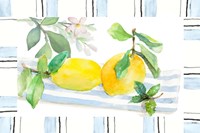 Spring Citron Fine Art Print