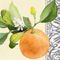 Orange Blossoms II Fine Art Print