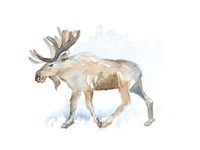 Watercolor Moose Fine Art Print