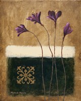 Color Field Blossom I Fine Art Print