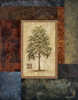 Eucalyptus Tree I Fine Art Print