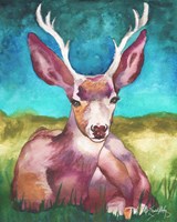 Buck In A Field I Fine Art Print