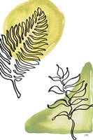 Tropical Palm Contours I Fine Art Print