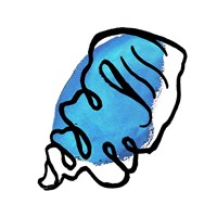 Coastal Contours III Framed Print