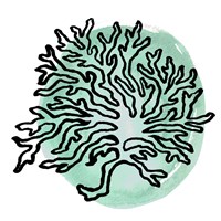 Coastal Contours IV Framed Print