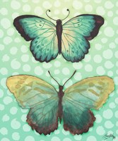 Butterfly Duo in Teal Framed Print