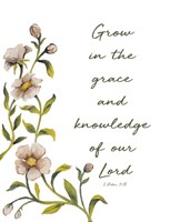 Grow in Grace Fine Art Print