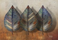 Three Amigos II Framed Print