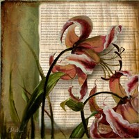 Vintage Studio II Fine Art Print