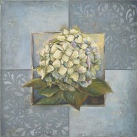 Hydrangeas on Blue I Fine Art Print