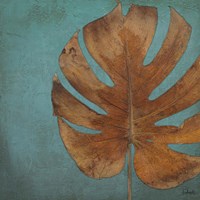 Dry Balazo in Blue I Framed Print