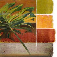 Morning Light I Framed Print