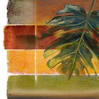 Morning Light II Framed Print