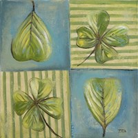 Natura I Fine Art Print