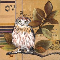 Little Owls I Fine Art Print
