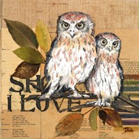 Little Owls II Fine Art Print