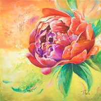 Beautiful Bouquet of Peonies II Framed Print