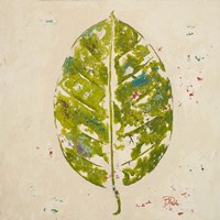 The Green Ones I Fine Art Print