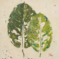 The Green Ones II Fine Art Print