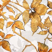 Gold Shadows I Fine Art Print