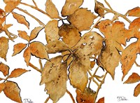 Gold Shadows II Fine Art Print