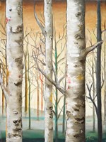 Birch Forest I Fine Art Print