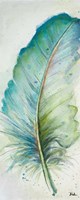 Watercolor Feather IV Fine Art Print