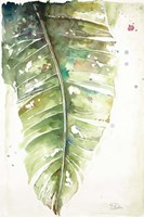 Watercolor Plantain Leaves I Fine Art Print