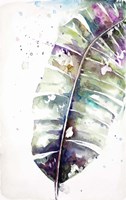 Watercolor Plantain Leaves with Purple II Fine Art Print