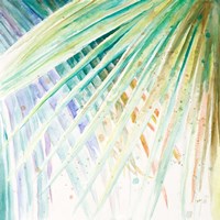 Palmers Pastel I Framed Print