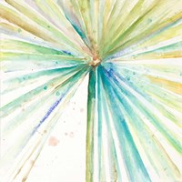 Palmers Pastel II Framed Print