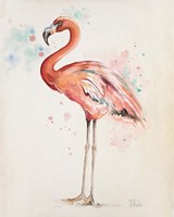 Flamingo I Fine Art Print