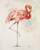 Flamingo II Fine Art Print