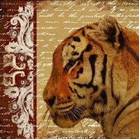 Safari Script II Fine Art Print