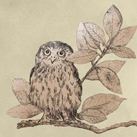 Neutral Little Owls I Framed Print