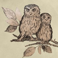 Neutral Little Owls II Fine Art Print