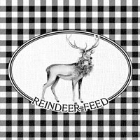 Reindeer Feed Fine Art Print