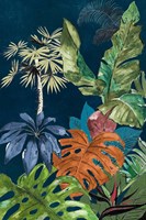 Navy Selva I Fine Art Print