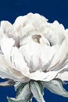 Pretty Bloom On Blue Fine Art Print