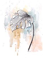 Soft Nature II Framed Print