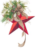 Christmas Star Fine Art Print