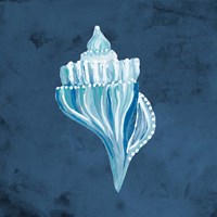 Azul Dotted Seashell on Navy I Fine Art Print