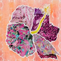 Hibiscus Flower Collage Fine Art Print