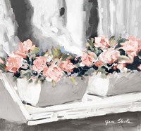 Pink Floral Window Fine Art Print