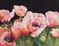 Breckenridge Poppies Fine Art Print